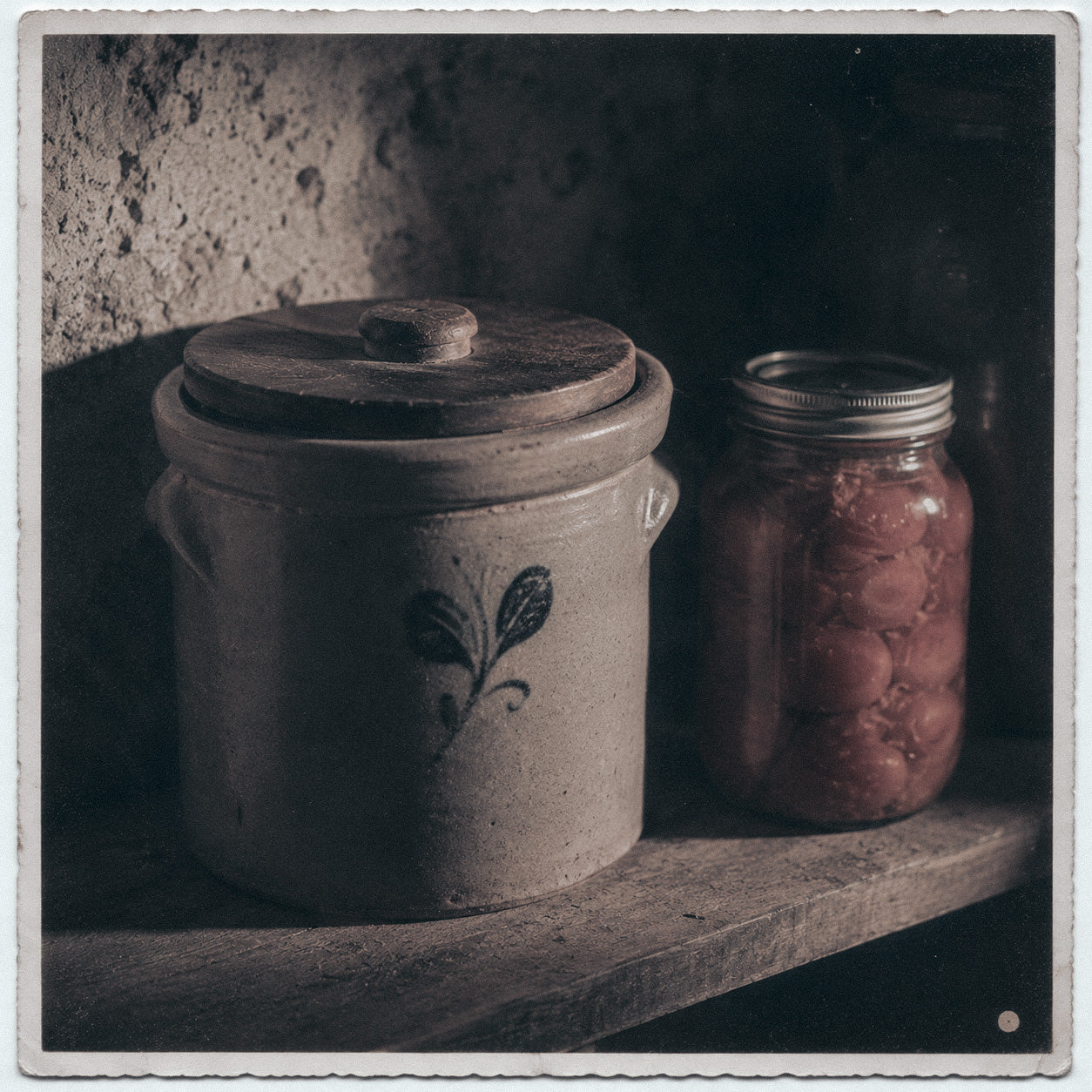 The Root Cellar